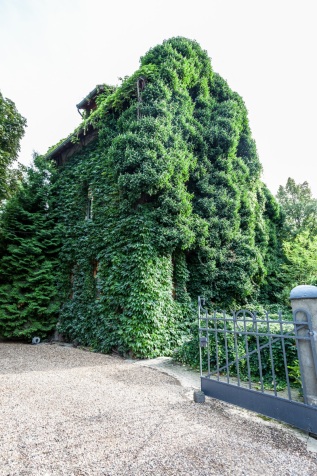 20130917-164749-IMG_2013-09-17-16-47-49_61479