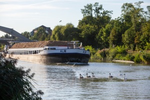 Querverkehr