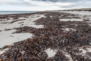 20101026-095235-IMG_2010-10-26-09-52-35_39006