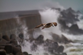 Helgoland-20101027-143436-IMG_2010-10-27-14-34-36_40044