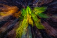 Emmerthal-20251008-161743-DSCF2895