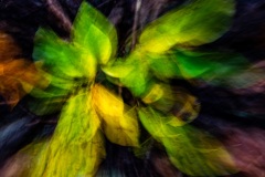 Emmerthal-20251008-161757-DSCF2896