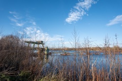 Hameln-20250106-140957-DSCF6613