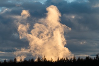 Dampfkondensat Dampfkondensat