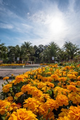 Kurpark