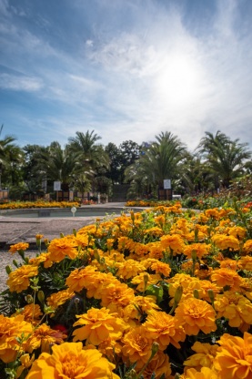 Kurpark