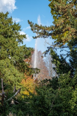 Fontaine