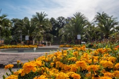 Kurpark
