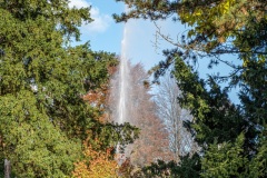 Fontaine