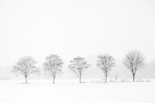 Hameln-20101205-154642-IMG_2010-12-05-15-46-42_40841-Bearbeitet