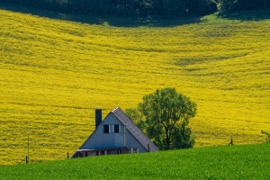 Haus im Tal