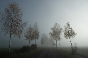Nebel