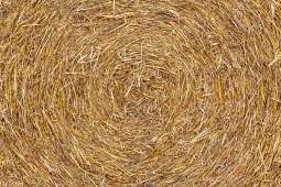 Strohrolle