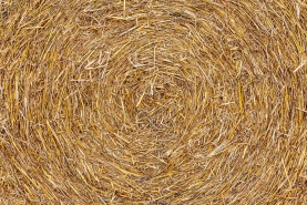 Strohrolle