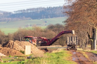Abtransport Zuckerrüben