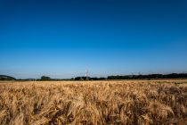 Gerstefeld an der Weser