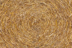 Strohrolle