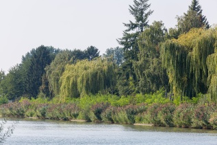 20160909-144111-ING_2016-09-09-14-41-11_78264