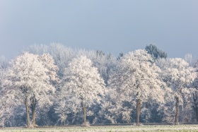 Hameln-20161204-120436-ING_2016-12-04-12-04-36_79922