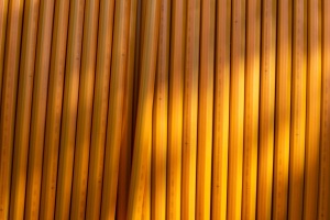 Hameln-20170916-143535-_9160017