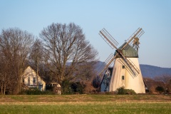 Hameln-20250203-161951-DSCF6781