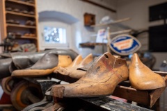 Hameln-20240615-152627-DSCF9698