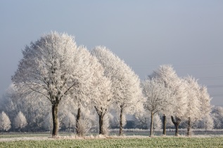 Hameln-20161204-120852-ING_2016-12-04-12-08-52_79936