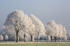 Hameln-20161204-120852-ING_2016-12-04-12-08-52_79936