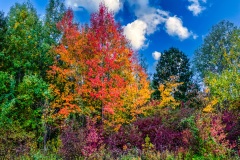 Indian Summer
