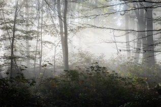 20241103-105343-DSCF5931