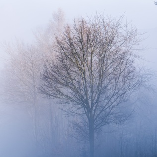 20250201-110353-DSCF6731