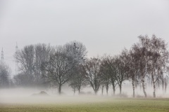 Nebel