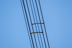 Hameln-20160314-162634-ING_2016-03-14-16-26-34_71716