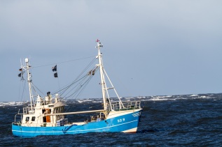 20101025-112035-IMG_2010-10-25-11-20-35_38713