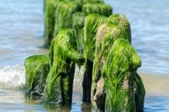 Norderney-20220811-150025-_8110219