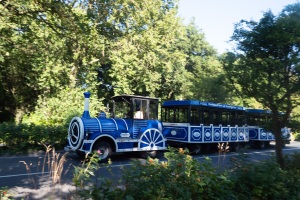 Inselbahn