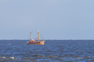 20101025-110828-IMG_2010-10-25-11-08-28_38697