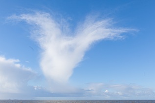 20101025-110850-IMG_2010-10-25-11-08-50_38699