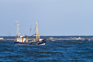 20101025-112159-IMG_2010-10-25-11-21-59_38721