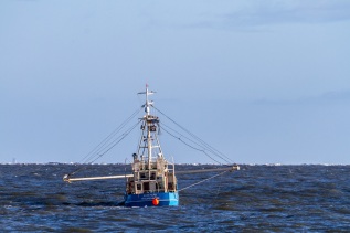 20101025-112222-IMG_2010-10-25-11-22-22_38724