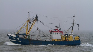 20110302-114701-IMG_2011-03-02-11-47-01_42127