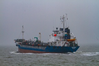 20110302-123026-IMG_2011-03-02-12-30-26_42169