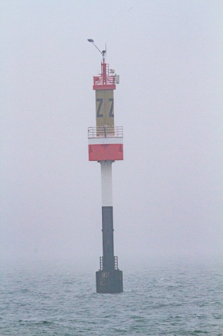 20110302-124639-IMG_2011-03-02-12-46-39_42176