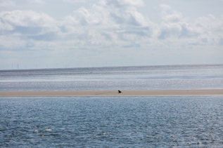 20170708-165356-IMG_2017-07-08-16-53-56_86069