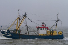 20110302-114701-IMG_2011-03-02-11-47-01_42127