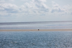 20170708-165356-IMG_2017-07-08-16-53-56_86069