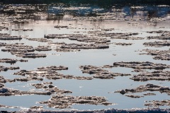 Eisschollen auf der Weser