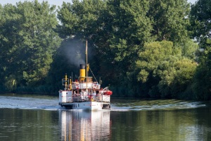 Hameln-20220717-091305-_7171398