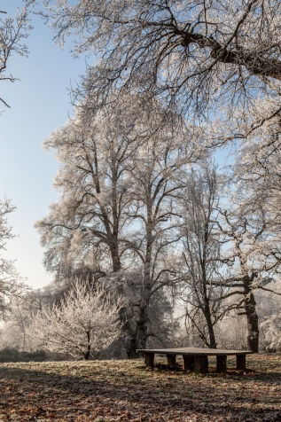 Steintisch auf dem Ohrbergpark