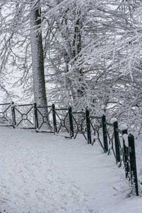 Winter
